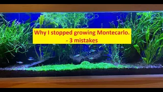 Montecarlo aquarium carpet plant lifting- My mistakes