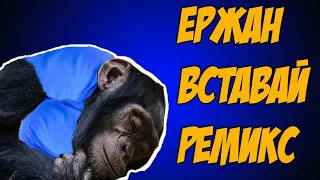 Ержан, вставай на работу пора(Ремикс)