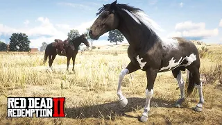 Domando o MISOURY FOX TROTTER RARO - Viagem de trem - Red Dead Redemption 2