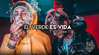 T3R Elemento - El Verde Es Vida [Video con letra]