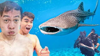 Unang EXPLORATION sa ilalim ng DAGAT - WHALE SHARK!