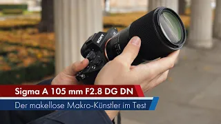 Sigma 105 mm f/2.8 DG DN Macro ART | Neuauflage eines Klassikers für Sony E & L-Mount [Deutsch]