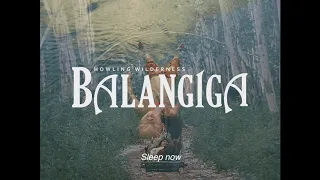 BALANGIGA: HOWLING WILDERNESS | this is not a film trailer by khavn