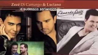 ZEZÉ DI CAMARGO E LUCIANO, GIAN E GIOVANI 🎤 MAIORES SUCESSOS🎤 SERTANEJOS P VIAJAR NA NATUREZA pt01