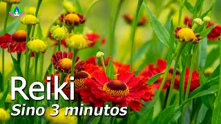 Reiki 3 minutos com Sino, Limpa as Energias Negativas, Equilibra os Chakras e a Aura