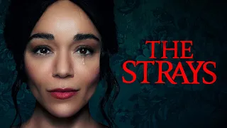 The Strays Ending Explained | Things You Must Know | Tv Spoot