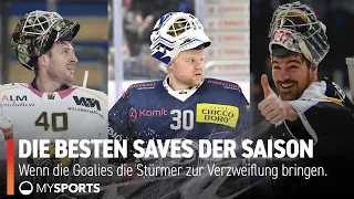 DIE BESTEN SAVES DER SAISON 2023/24