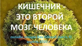 4.Кишечник -это  второй мозг человека