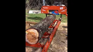 Honest 1yr Review of Woodmizer LX-25 by Beginner Sawyer