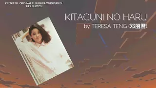 Teresa Teng 邓丽君 - Kitaguni No Haru Lyrics(北国の春)