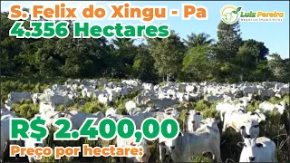 EXCELENTE OPORTUNIDADE, FAZENDA Á VENDA EM  SÃO FELIX DO XINGU PA 4.356 Hec., D,.APTIDÃO, INCRÍVEL!