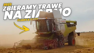 ☆ ZBIÓR TRAWY NA 2 LEXIONY ?! ☆ ZBIÓR TRAWY NASIENNEJ NA WIELKĄ SKALE ☆ 2x CLAAS LEXION ☆ CASE ☆