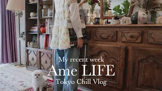 chill vlog [Summer adult week 👒] Vintage furniture room ｜ Morning routine ｜ Tokyo tour ｜ HAUL