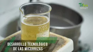 Desarrollo tecnológico de las micorrizas - TvAgro por Juan Gonzalo Angel Restrepo