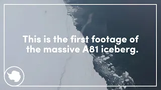 First look at giant A81 iceberg from Antarctica's Brunt Ice Shelf | British Antarctic Survey