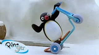 Pingu's New Skills 🐧 | Pingu - Official Channel | Cartoons For Kids