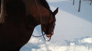 Помоги весне прийти: ешь снег!