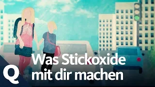 Stickoxide: Mediziner warnen vor Gesundheitsschäden | Quarks