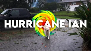 How Our Pets Reacted to Hurricane Ian