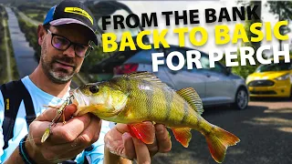 SPRO - Back To Basic - Perch Fishing From The Bank