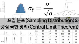 [비전공자의 통계 이해하기] #6. 표집 분포(Sampling Distribution)와 중심 극한 정리(Central Limit Theorem)