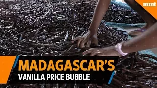 Madagascar rides vanilla price bubble