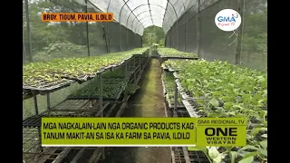 One Western Visayas: Organic Farming sa Pavia, Iloilo