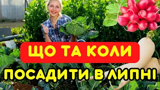 Не гай часу! Що та коли можна посадити на городі в липні. Посівний календар на липень 2023