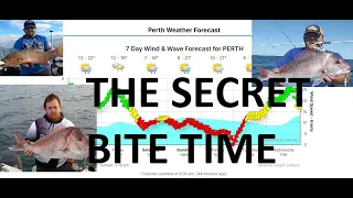 when is the best time to go fishing - how to understand peak bite times - lunar, tides, weather