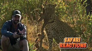 Bizarre settings! Lions on trees! Elephants vs Hippos! Expect the unexpected with Safari Reactions!