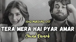 ISHQ MURSHID OST - Tera Mera Hai Pyar Amar [ Slowed + Reverb ] - Ahmed Jahanzeb