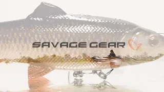 Savage Gear - 4D Pulsetail