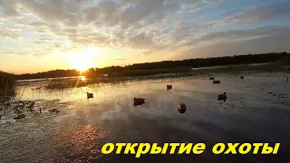 17 УТОК ЗА УТРЯНКУ!!!  ОТКРЫТИЕ ОХОТЫ НА УТКУ!!! Патроны закончились через час / MAX HUNTER