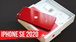 Новый iPhone SE 2020 - Xiaomi от Apple за копейки! (нет)