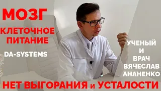 НЕТ ВЫГОРАНИЯ и УСТАЛОСТИ. Клеточное питание.