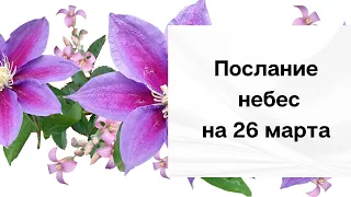 Послание небес на 26 марта. Растерянность.