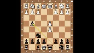 Portuguese Gambit - Chess Opening