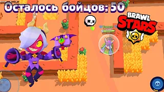 Соло ШД на 50 ЧЕЛОВЕК в Brawl Stars What's????????? (Nulls)