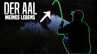 Der AAL meines LEBENS beim ANGELN am kleinen FLUSS