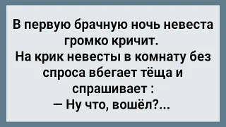 В Брачную Ночь Невеста Громко Кричит! Сборник Свежих Анекдотов! Юмор!