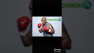 Бойци UFC по знаку зодиака