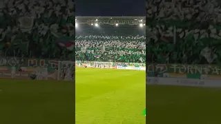 Ultras Rapid Choreo während (!) des Spiels. Rapid Wien vs. Linzer ASK - LASK