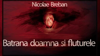 Batrana doamna si fluturele - Nicolae Breban