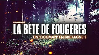 LA BÊTE DE FOUGÈRES : UN DOGMAN EN BRETAGNE ?