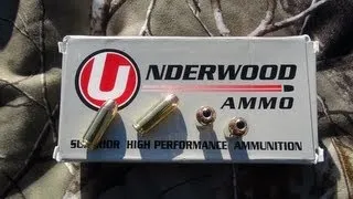 AMMO TEST:  10mm Underwood 200 gr Hornady XTP JHP