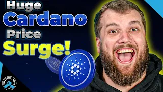 Cardano & Altcoins See HUGE GAINS - Is This The Start Of A New Bull Run?