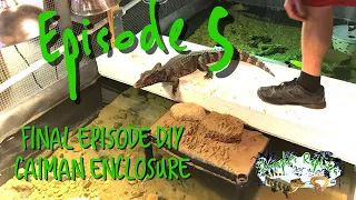 Huge Indoor Cuviers Dwarf Caiman Enclosure with Pond Build - Final Episode 5 - DIY Build Tour