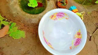 Catch Unique Little Frogs | Catching And Finding A Lot Of Beautiful Baby Koi Fish, Angel Fish#33