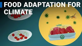 Food Irradiation and the Changing Climate