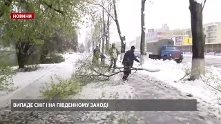 Випуск новин за 14:00: Україну замете снігом